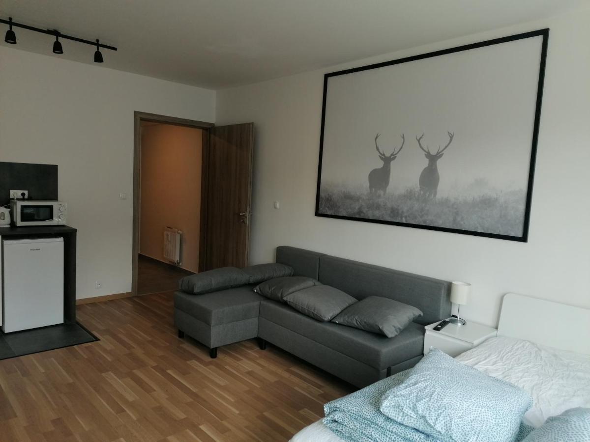 Brand New Studio Apartment #62 With Free Secure Parking In The Center Praga Exterior foto